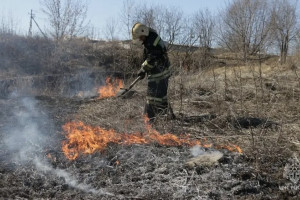 В Юрьев-Польском районе поймали 11-летнего поджигателя травы