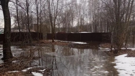 Большая вода дошла до Владимира