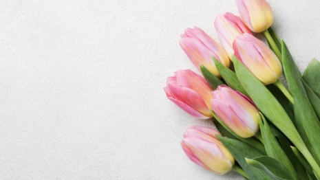 Владимирцев предупредили о схемах мошенников в преддверии 8 марта