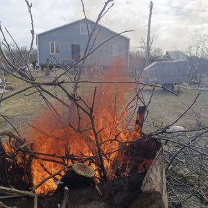 Владимирцам напомнили о штрафах до 800 тыс. рублей за разведение костров