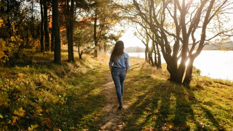 Пропавшую во Владимирской области 17-летнюю девушку нашли живой