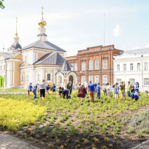 В Суздале восстановят частично утраченные живые изгороди