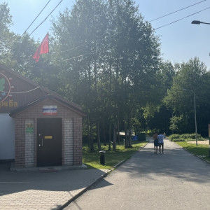 Жители Владимира начали собирать подписи против строительства дороги в парке «Дружба»