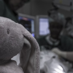 В Владимире в областную детскую больницу установили оборудование на 260 млн рублей