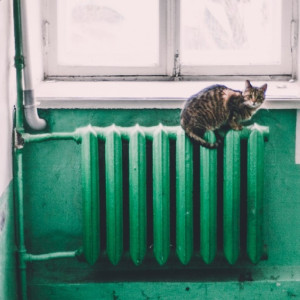 Во Владимире предложили отказаться от 13-х квитанций за тепло