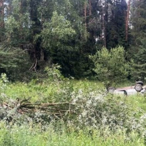 В Александровском районе водитель погиб после столкновения с деревом