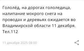 МЧС предупредило жителей Владимирской области о гололедице 11 декабря