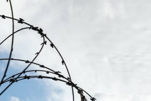 Жителя Владимирской области осудили на 9 лет за убийство соседки по даче