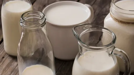 Во Владимирской области объемы молока впервые превысили 500 тысяч тонн