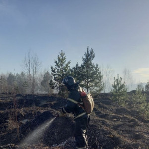 Во Владимирской области 7 мая отменили особый противопожарный режим