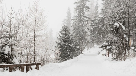 Затяжная метель обрушится на Владимирскую область 6 апреля