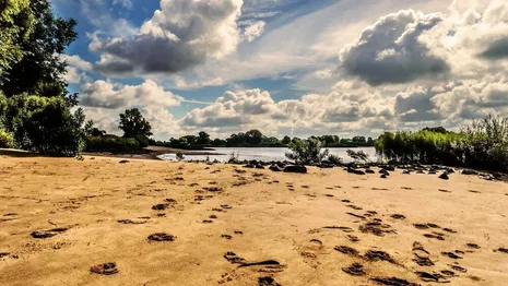 МЧС показало обновленный список разрешенных пляжей во Владимирской области