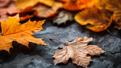 Прогноз погоды во Владимирской области на 7 ноября