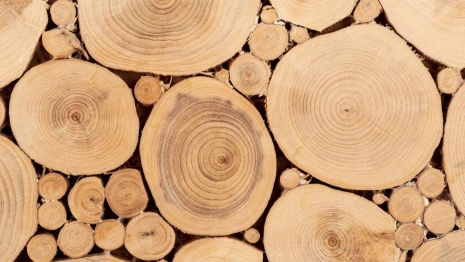 Жителя Владимира будут судить за контрабанду древесины на 4,6 млн рублей