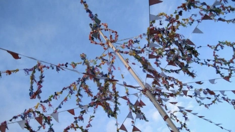 Появилась программа празднования Первомая в парках Владимира