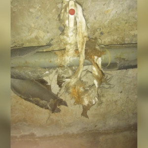 В Юрьев-Польском управляющую компанию наказали за ужасное содержание домов