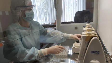 Во Владимирской области клещи укусили 114 взрослых и 38 детей