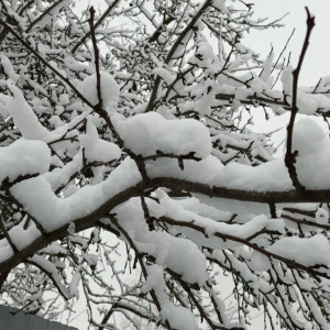 Прогноз погоды во Владимире и области на 26 декабря