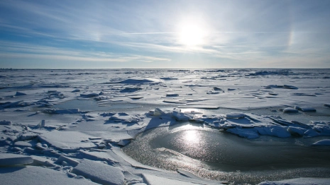 Жителей Мурома снова оставили без прорубей на Оке