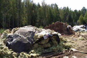 Глава Следкома поручил возбудить уголовное дело из-за незаконной свалки под Ковровом