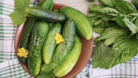 День Огурца в Суздале вошел в топ-5 необычных праздников России