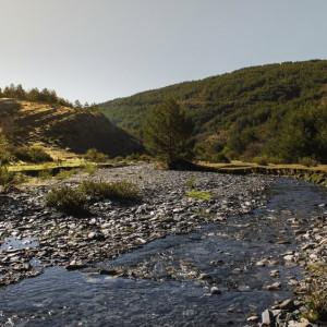 Владимирский губернатор поделился планами по расчистке 12 рек