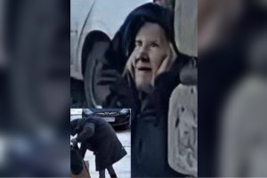 В Гусь-Хрустальном пропала 81-летняя бабушка