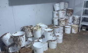 Во Владимире накрыли подпольное производство «KitKat» и «Kinder»