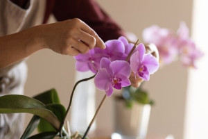 Во Владимире 24-летнего рецидивиста осудили за ограбление цветочного