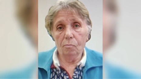 Во Владимирской области начали поиски 85-летней бабушки из Обнинска