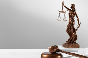 Во Владимирской области выбрали лучших судей