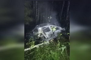 Во Владимирской области сгорел съехавший в кювет автомобиль