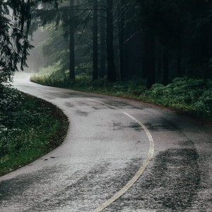 Во Владимирской области похолодает до +10 градусов