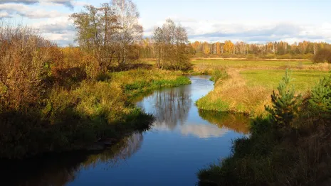 Во Владимирской области местные жители пытаются спасти реку Колпь