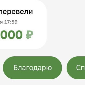 Владимирцев предупредили о новой схеме мошенников с банковскими переводами