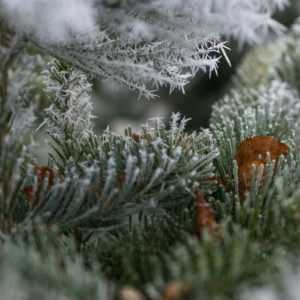 Прогноз погоды во Владимирской области на 18 ноября 2023 года