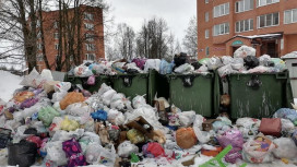 В Кольчугино 30 мусорных площадок оказались завалены отходами