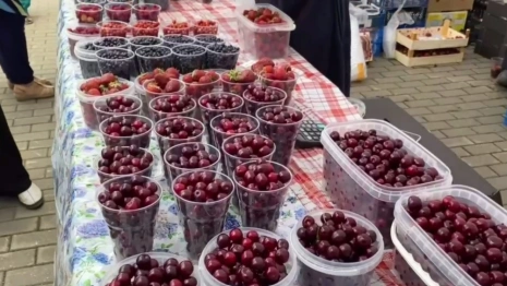 Во Владимире традиционный «Вишневый Спас» пройдет 14 июля