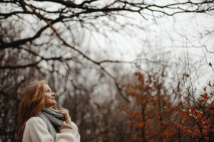 Во Владимирской области на выходных разогреется до +8