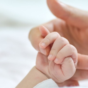 Во Владимирской области 1054 ребенка родились с помощью ЭКО