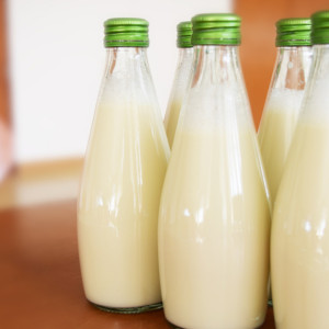 В молочных продуктах Владимирской области нашли кишечную палочку