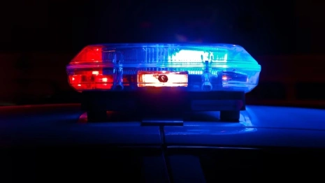 Нарколабораторию под Суздалем взяли штурмом
