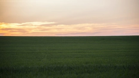 В пяти районах Владимирской области нашли зараженную токсинами землю