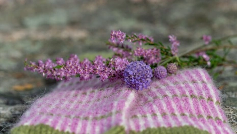 Прогноз погоды во Владимирской области на 12 мая 2025 года