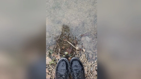 Жителям Владимирской области напомнили об опасности первого льда