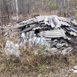 Во владимирском лесу выросла огромная стихийная свалка