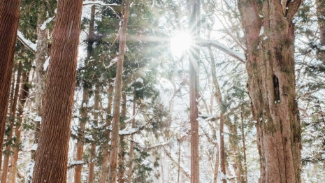 Прогноз погоды во Владимире и области на 8 декабря