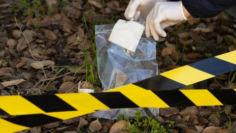 Появились новые подробности в деле расчлененной матери из Коврова