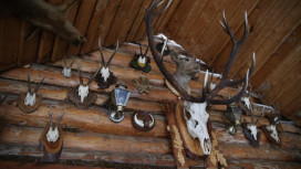 Во Владимирской области на продажу выставили охотничью базу