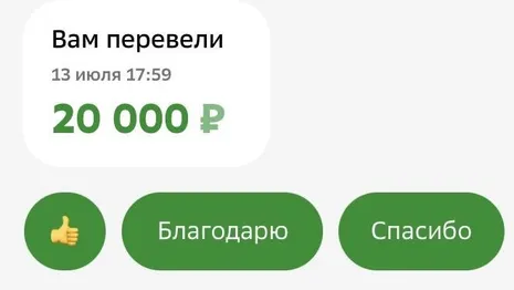 Владимирцев предупредили о новой схеме мошенников с банковскими переводами